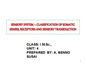Classification of sensory system