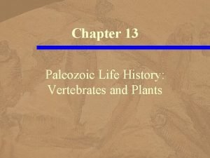 Chapter 13 Paleozoic Life History Vertebrates and Plants