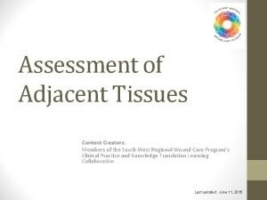 Assessment of Adjacent Tissues Content Creators Members of