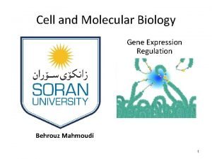 Cell and Molecular Biology Gene Expression Regulation Behrouz