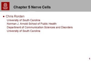 Chapter 5 Nerve Cells l Chris Rorden University