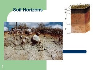Soil Horizons 1 2 3 Soil Profile l