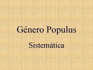 Gnero Populus Sistemtica UBICACION SISTEMATICA DEL GENERO POPULUS