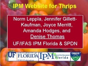 IPM Website for Thrips Norm Leppla Jennifer Gillett