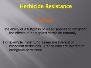 Herbicide Resistance Tolerance The ability of a turfgrass
