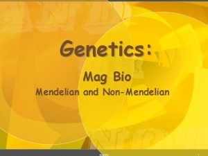 Genetics Mag Bio Mendelian and NonMendelian Mag Bio