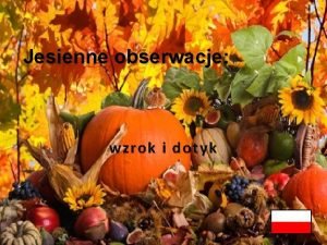 Jesienne obserwacje