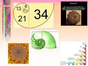 Fun facts about the fibonacci sequence