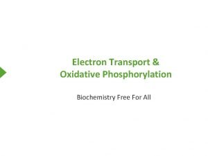 Electron Transport Oxidative Phosphorylation Biochemistry Free For All