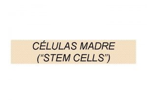 CLULAS MADRE STEM CELLS Primero aclaremos algunos conceptos