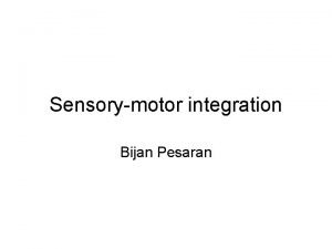 Sensorymotor integration Bijan Pesaran Visual response in PMv