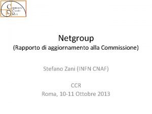 Netgroup Rapporto di aggiornamento alla Commissione Stefano Zani