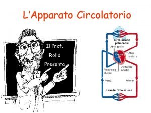 LApparato Circolatorio Il Prof Rollo Presenta LApparato Circolatorio