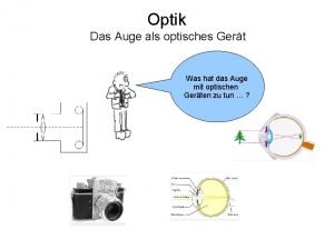 Optik Das Auge als optisches Gert Was hat