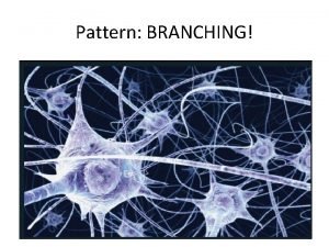 Pattern BRANCHING Branching in Biology Branching an efficient