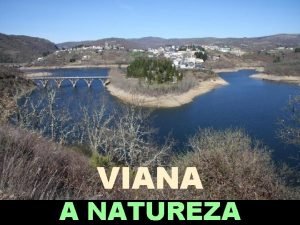 VIANA A NATUREZA A comarca de Viana est