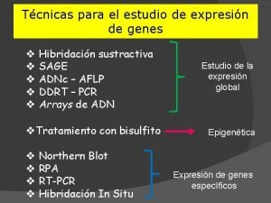 Tcnicas para el estudio de expresin de genes