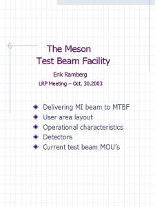 The Meson Test Beam Facility Erik Ramberg LRP