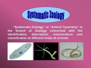 Zoology taxonomy