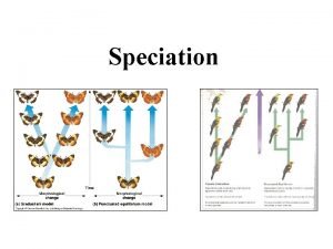 Speciation What is a species A species is