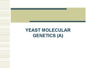 YEAST MOLECULAR GENETICS A Yeast genetics nomenclature w