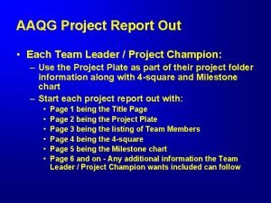 AAQG Project Report Out Each Team Leader Project