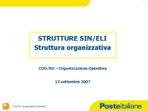 1 STRUTTURE SINELI Struttura organizzativa COORU Organizzazione Operativa