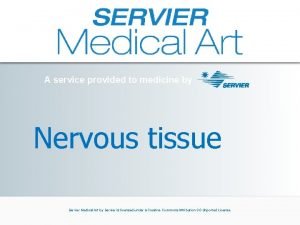 Servier medical art