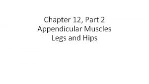 Appendicular muscle