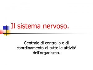 Sistema nervoso centrale schema