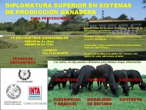 DIPLOMATURA SUPERIOR EN SISTEMAS DE PRODUCCIN GANADERA PARA