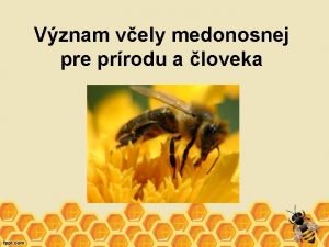 Vznam vely medonosnej pre prrodu a loveka Prostredie