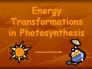 Energy transformations in photosynthesis