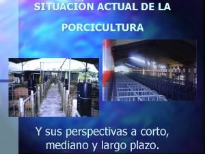 SITUACIN ACTUAL DE LA PORCICULTURA Y sus perspectivas