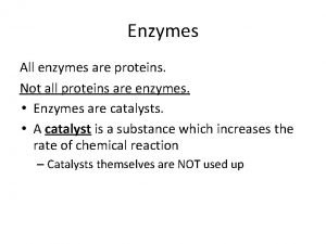 Enzymes All enzymes are proteins Not all proteins