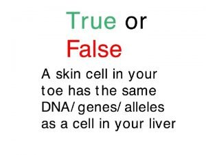 Non coding DNA Coding Not all DNA codes