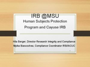 Msu click irb