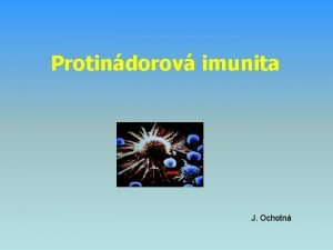 Protindorov imunita J Ochotn Malign transformace porucha regulace