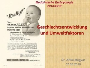 Medizinische Embryologie 20182019 Geschlechtsentwicklung und Umweltfaktoren Dr Attila