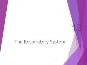Terminal bronchiole vs respiratory bronchiole