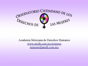 Academia mexicana de derechos humanos, a.c.