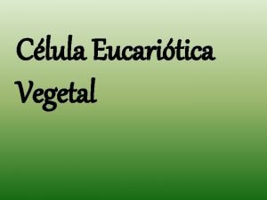Clula Eucaritica Vegetal Componentes Carlos Andr Elissandro Sena