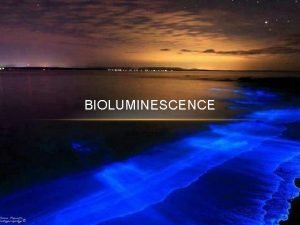 BIOLUMINESCENCE Julie Russell WHAT IS IT Bioluminescence is