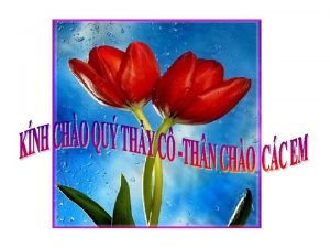 Bộ phận nào cấu tạo nên hạt grana Bộ phận nào cấu tạo nên hạt grana