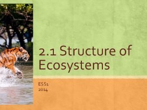 How are detritivores different from decomposers