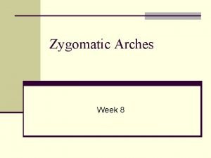 Zygomatic Arches Week 8 Zygomatic Arches Anatomy n