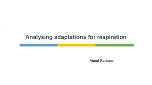 Analysing adaptations for respiration Aseel Samaro They are