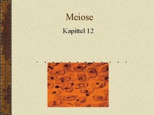 Mitose og meiose