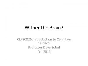 Wither the Brain CLPS 0020 Introduction to Cognitive