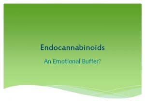 Endocannabinoids An Emotional Buffer What are Endocannabinoids Lipid